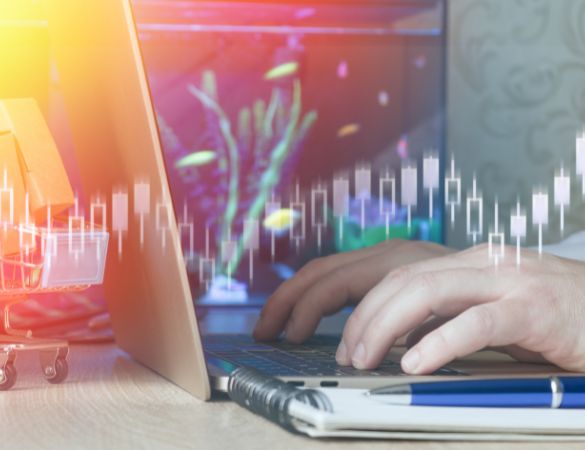 Retailers Trust Elite Plus Accounting