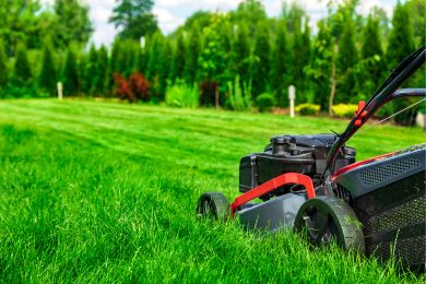 Lawn Mowing And Garden Services